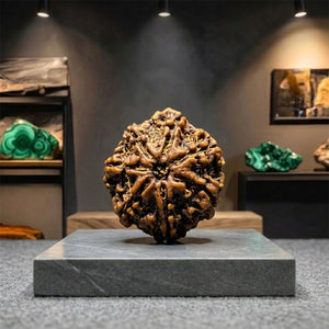 Rudraksha