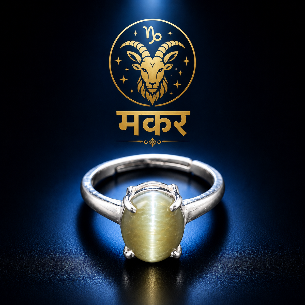 Capricorn (मकर)