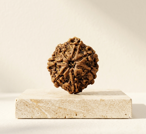 Rudraksha